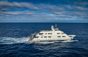 Nautilus Belle Amie