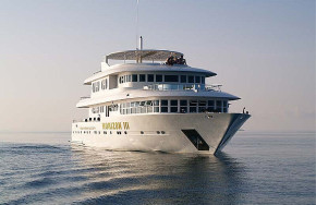 Horizon III