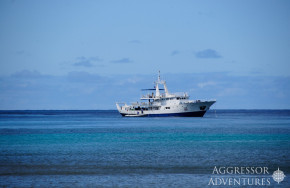 Okeanos Aggressor I