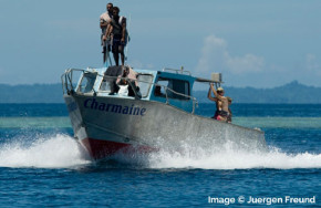 Walindi Dive