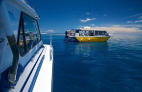 Tufi Dive