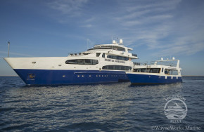 Maldives Aggressor