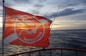 Euro-Divers Amari Havodda Maledives