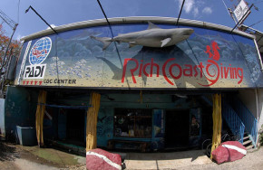 Rich Coast diving