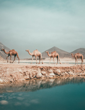 Oman